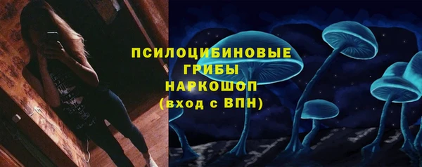 соль ск Алексин