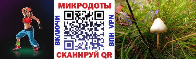Псилоцибиновые грибы мицелий  Павлово 